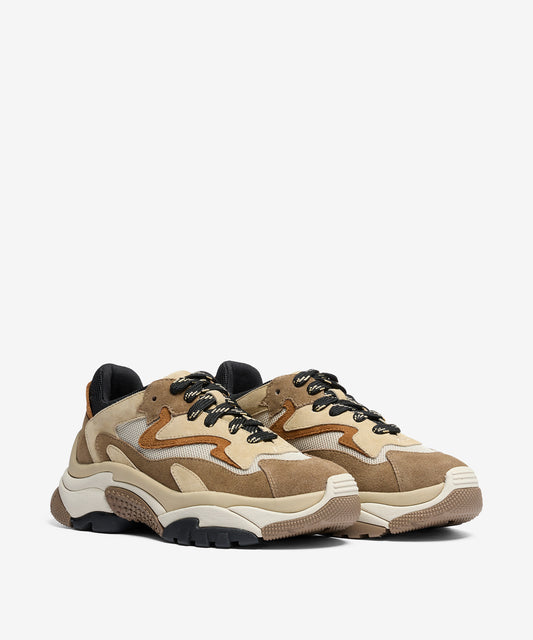 Scarpe ASH - Cerdelli.it